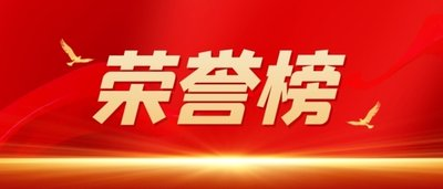 南岸區(qū)人大代表貢獻(xiàn)榜單發(fā)布  集團(tuán)董事、總經(jīng)理黃怡霖上榜